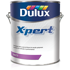 Dulux X-pert